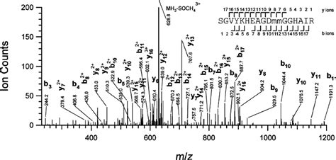 Ms Ms Spectrum Of The Tryptic Peptide S264 R281 From Mouse Cathepsin B Download Scientific