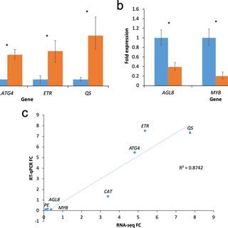 Rt Qpcr Analysis On The Fold Change Of Expression Level At F Relative