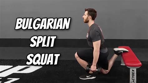 How To Bulgarian Split Squat Youtube