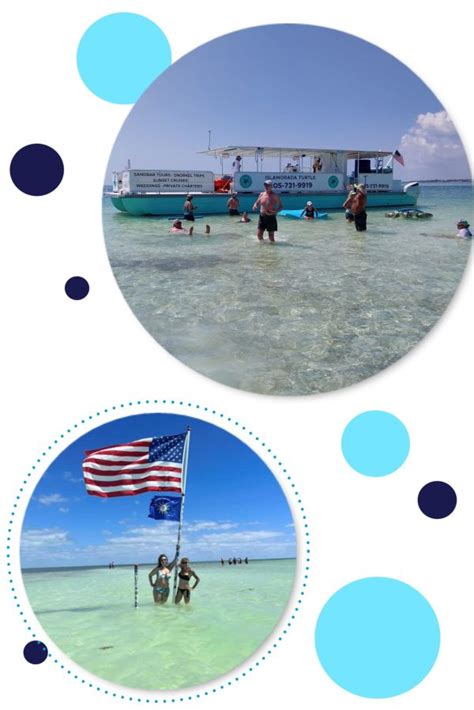 islamorada sandbar tours ride  turtle   islamorada sandbar