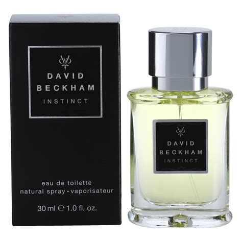 David Beckham Instinct, eau de toilette pour homme 75 ml | notino.fr