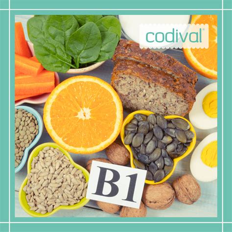 Cuáles Son Los Beneficios De La Tiamina O Vitamina B1 48 Off