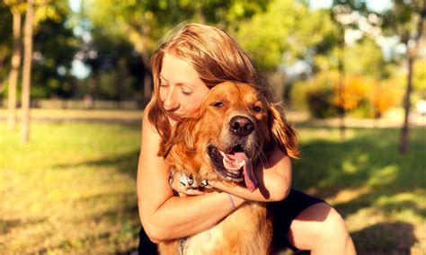 Why Do I Love My Dog So Much? Experts Explain | BeChewy