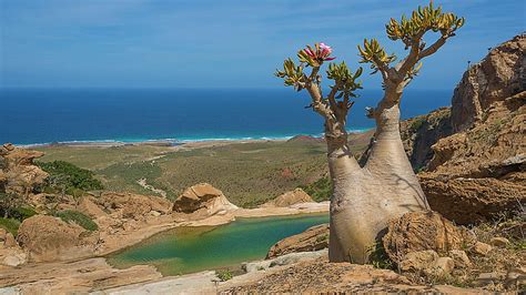 Socotra HD Wallpaper Pxfuel