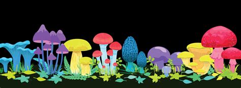 Magic Glowing Mushrooms Concept Vector Art At Vecteezy