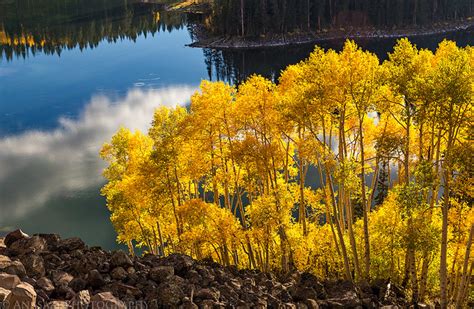 Grand Mesa Fall Colors // ADVENTR.co