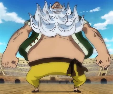 Datei Chinjao Body Opwiki Das Wiki F R One Piece