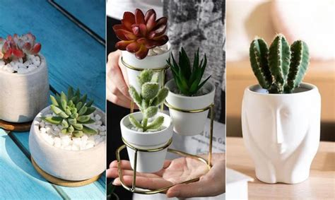 Estos Maceteros Mini Para Suculentas Te Van A Enamorar Jardinatis