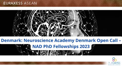 Denmark Neuroscience Academy Denmark Open Call Nad Phd Fellowships