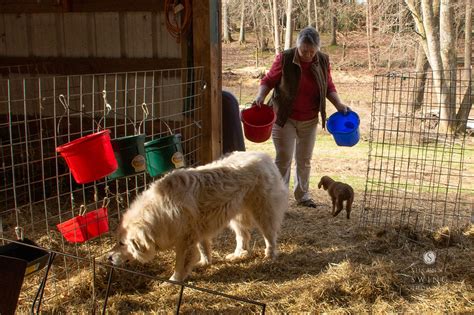 Sheepcote Farm A Connected Heritage