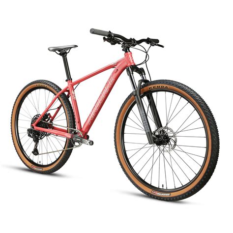 Mountain Bikes – DK Bicycles