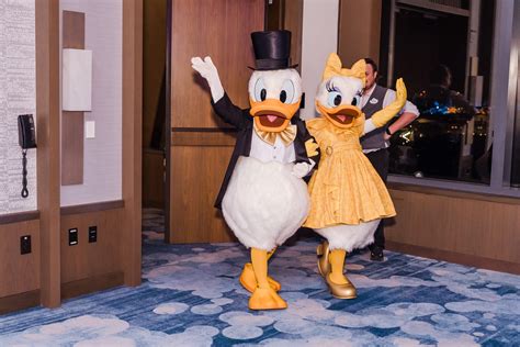 Disney-Themed Wedding: A Magical Night with Daisy and Donald