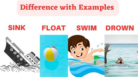 Difference Between Sink Float Drown Swim English Learnenglish Youtube