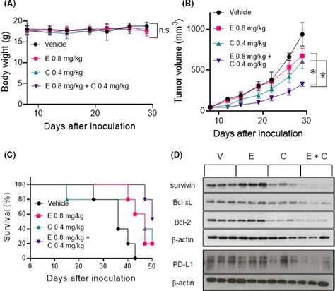 Novel RAF MEK Inhibitor CH5126766 VS6766 Has Efficacy In Combination