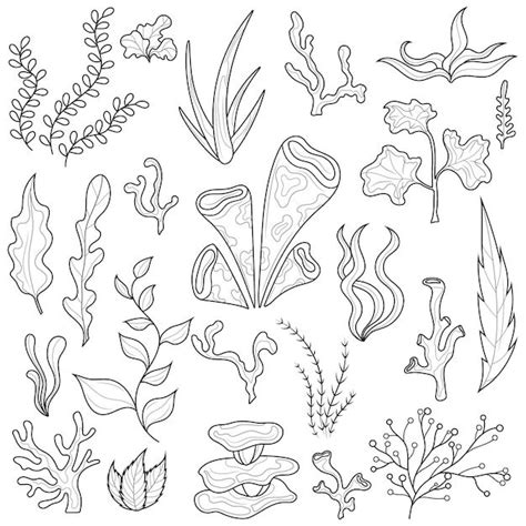 Premium Vector Set Of Simple Elements Of Flowers And Plants Art