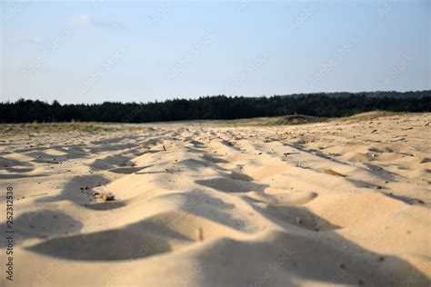 Bledow Desert Pustynia Bledowska Polish Dessert Between Bledow And