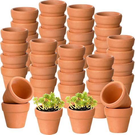 Amazon 100 Pcs Small Mini Terracotta Clay Pots Flower Pots With