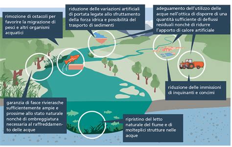 Protezione Delle Acque