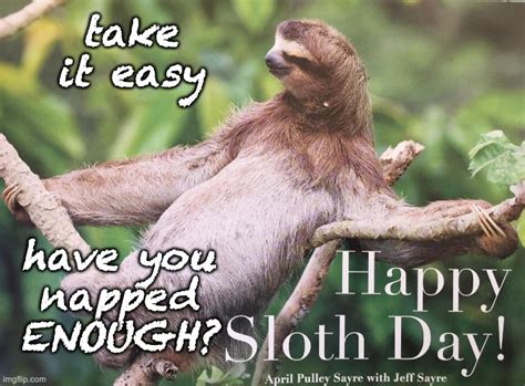 Sexual Sloth Memes