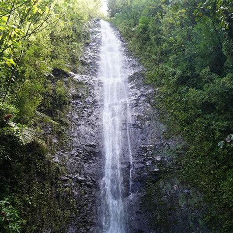 THE 5 BEST Things to Do in Kaaawa - 2024 (with Photos) - Tripadvisor