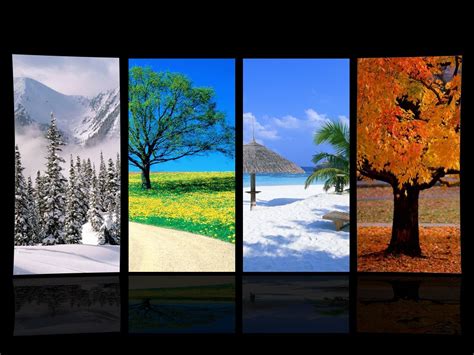 Four Seasons Wallpaper