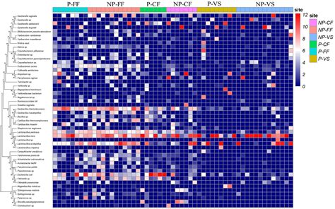 Frontiers Urogenital Tract And Rectal Microbiota Composition And Its