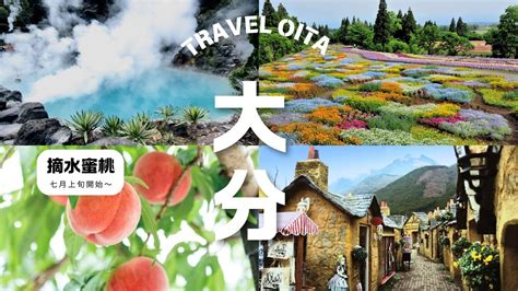 Fukuoka Kyushu Private Charter Car Tour Oita One Day Tour Beppu