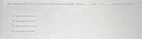 Solved After voltage-gated Na+channels close during an | Chegg.com 
