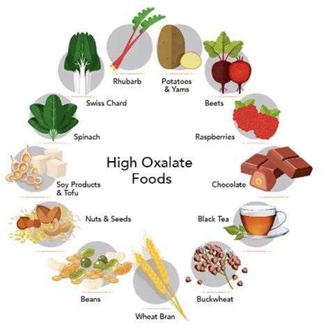 What are Oxylates? - Five Seasons Medical
