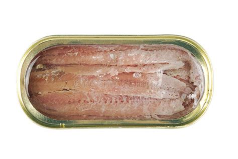 Canned Anchovies On White Background Stock Photo - Image of ingredient ...