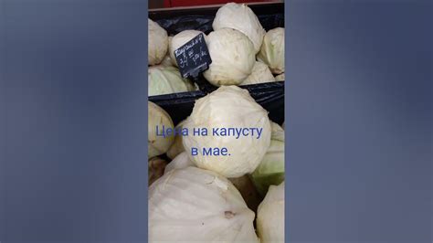 Цена на капусту в мае. - YouTube