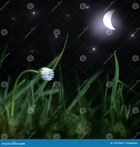 Peaceful Starry Night Sky Background Stock Photography | CartoonDealer ...