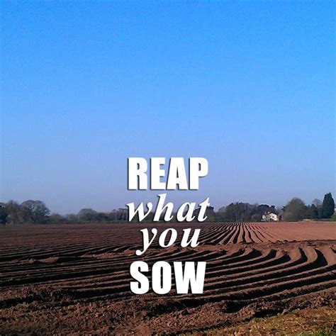 Reap What You Sow Reap What You Sow Sowing Words