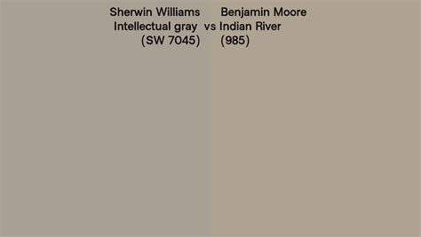 Sherwin Williams Intellectual Gray Sw 7045 Vs Benjamin Moore Indian