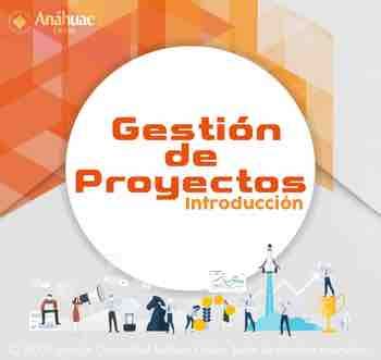 Introducci N A La Gestion De Proyectos Sandra Avina P Gina Flip