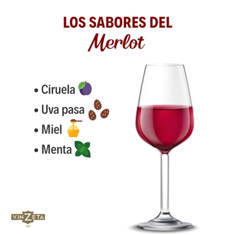 Qu Vino Es M S Dulce Merlot O Cabernet Tienda Mayorista