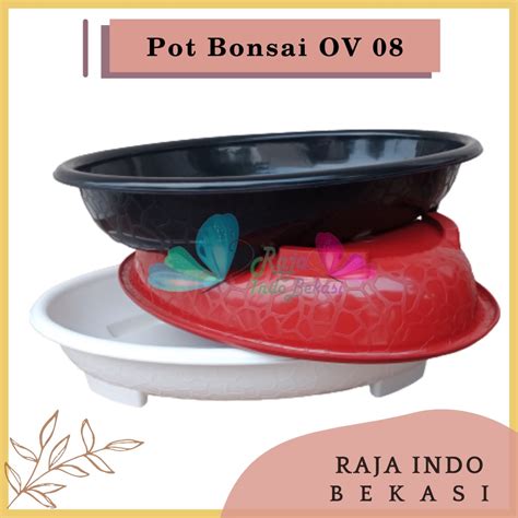 Jual Ori Bjp Bonsai Oval Ov Putih Hitam Merah Bata Coklat Pot Bunga