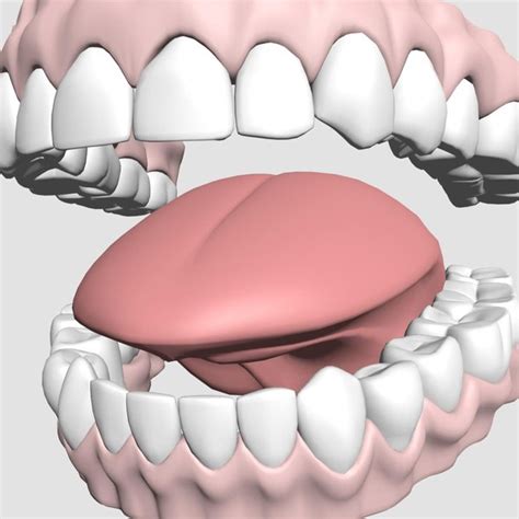 Mouth teeth model - TurboSquid 1166484