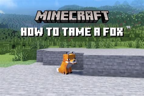 How to Tame a Fox in Minecraft Java and Bedrock (2022) | Beebom