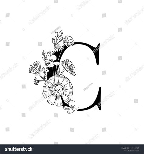 Letter C Handdrawn Illustration Outline Style Stock Vector (Royalty ...