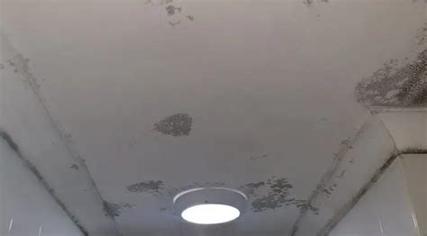 How To Remove Fungus From Bathroom Ceiling Artcomcrea