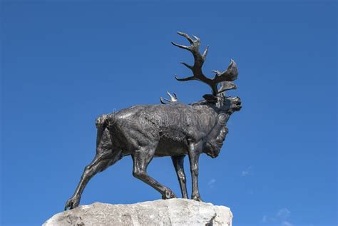 The Caribou Statue At The Newfoundland Regiment Memorial At Beaumont