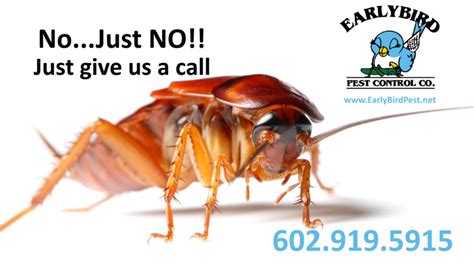 Pest Control Exterminator Phoenix Scottsdale Paradise Valley