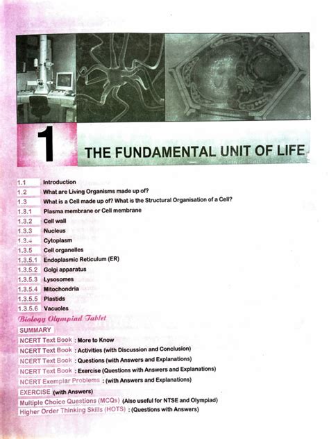 Cells Class 9 Pdf