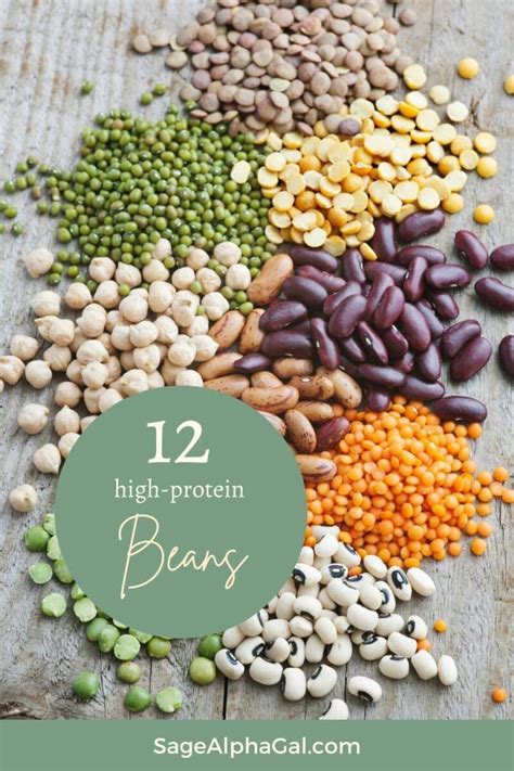 Best Beans For Protein A Comprehensive Guide