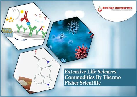 Thermo Fisher Scientific The Hubspot For Biological Products