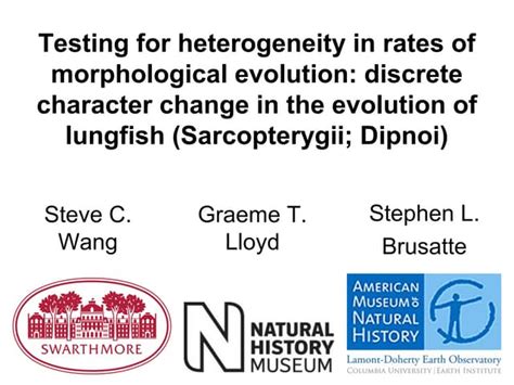 Testing for heterogeneity in rates of morphological evolution: discrete ...