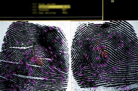 Fingerprint Analysis Photograph by Patrick Landmann/science Photo Library - Pixels