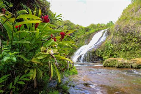 5 Waterfalls on Guam That Are Worth the Hike - The Guam Guide ...