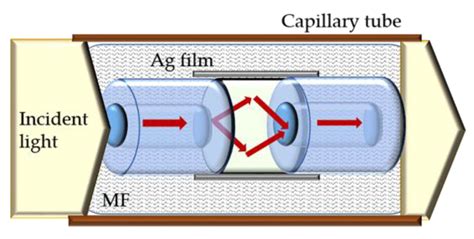 Sensors Free Full Text Optical Fiber Magnetic Field Sensors Based